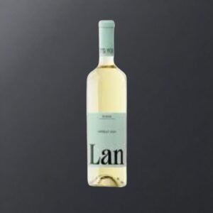 Lan Verdejo